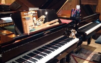 Lessons Continue at Silva Music