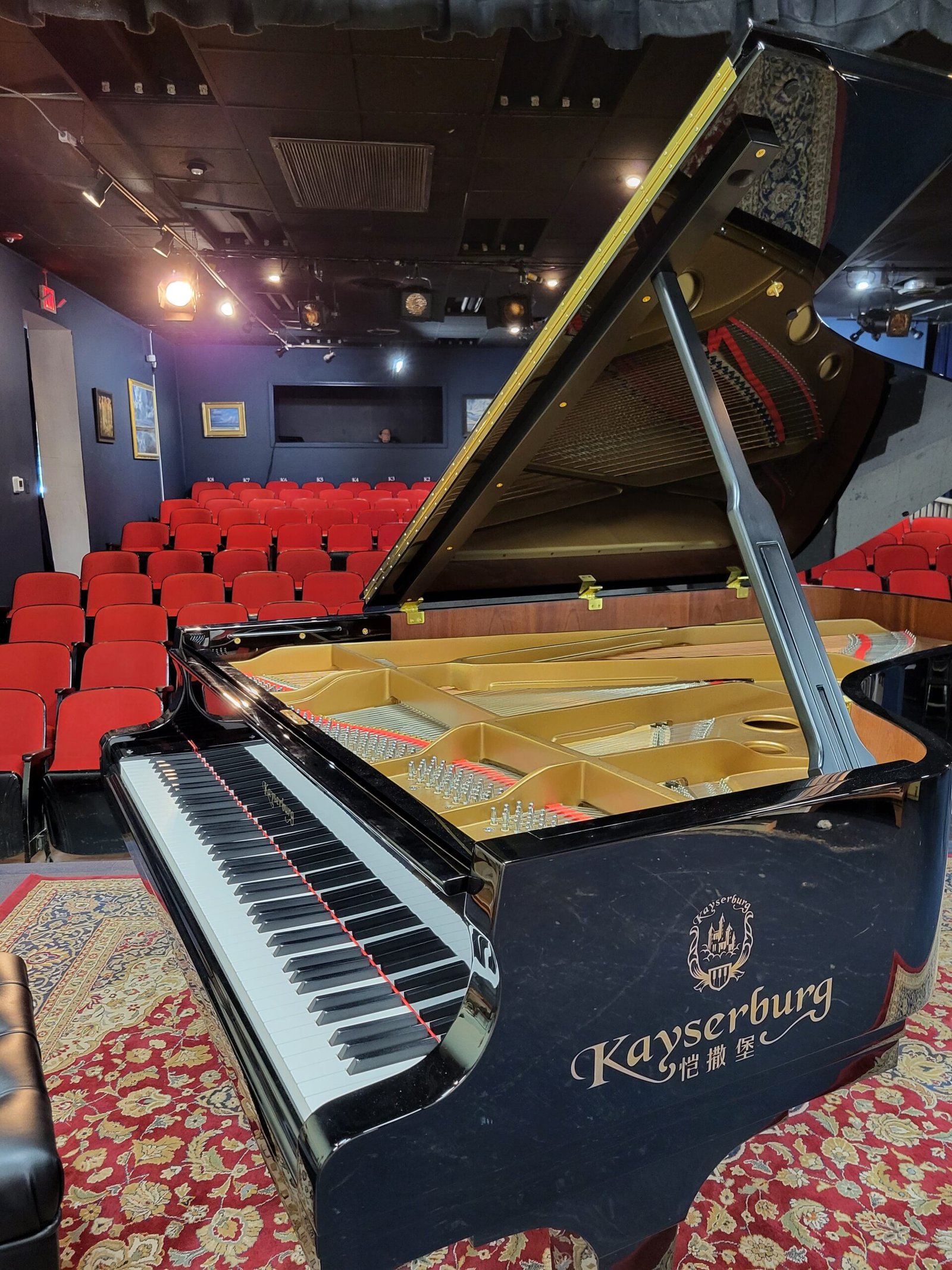 grand piano closeup with plush audience seats in background